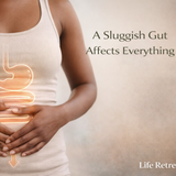 Aloe Ferox for Gut Health - Life Retreat