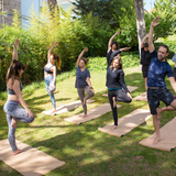 Outdoor Yoga - Life Retreat @ Lourensford