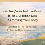 Aloe Fabulous Fibre Bitter Tablets - Life Retreat