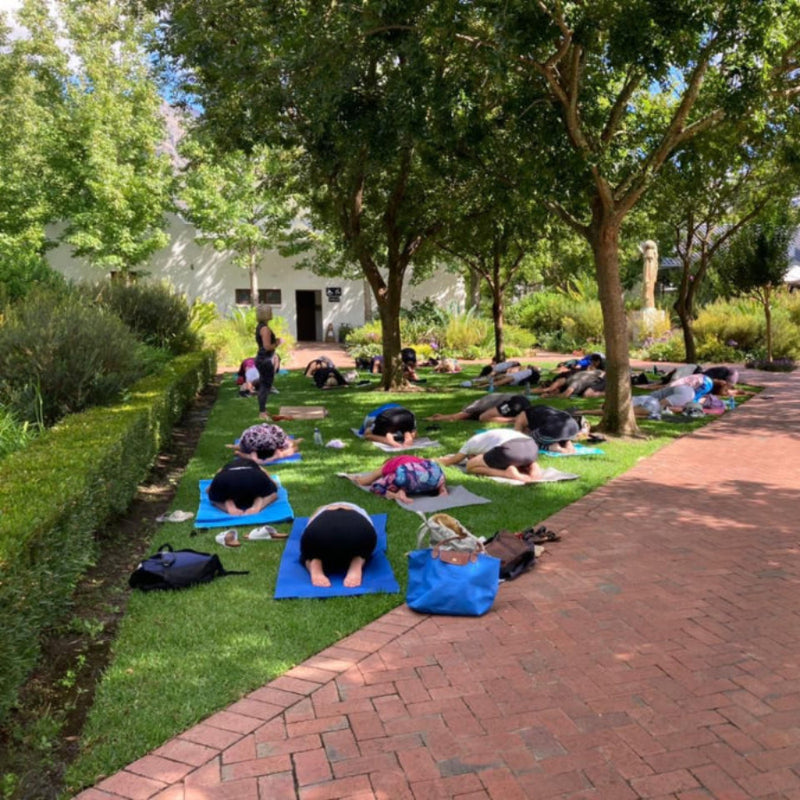 Free Outdoor Yoga Class - Life Retreat @ Lourensford