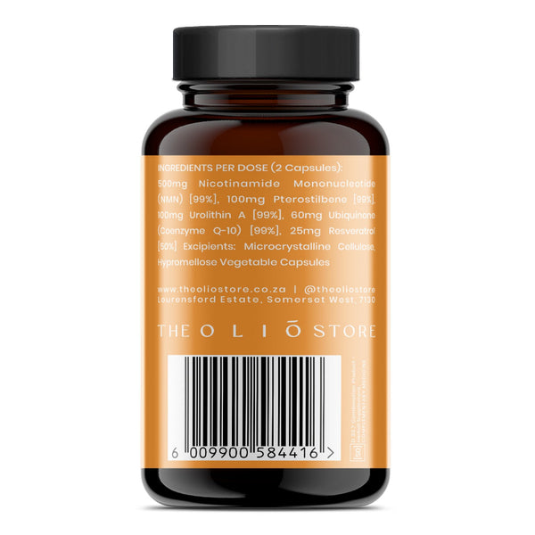 Longevity Cellular Vitality - Life Retreat
