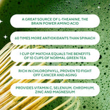 Matcha Bundle: Whisk & Premium Grade Matcha  Powder - Life Retreat