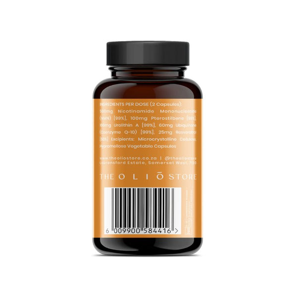 Longevity Cellular Vitality - Life Retreat