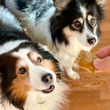 Pure CBD dog Treats - Life Retreat