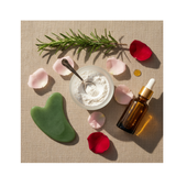 The Ultimate Hair & Skin Lifestyle Plan by Trish Taylor