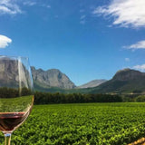 Winelands-Celebration-Experience - Life Retreat