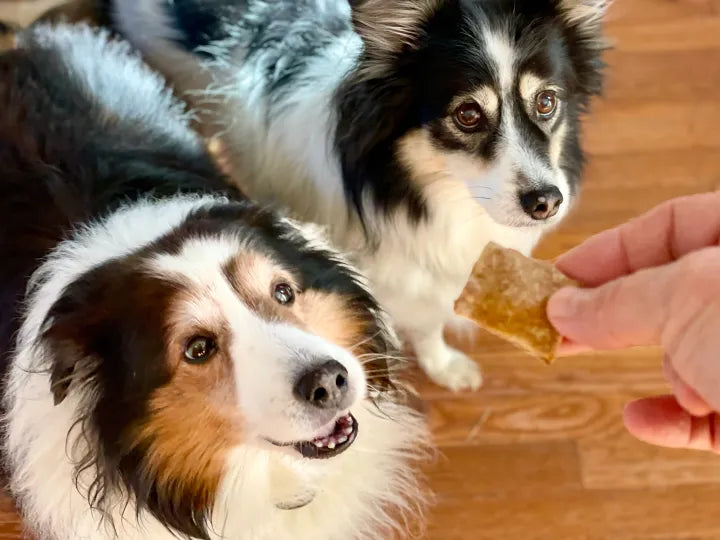 CBD Dog Biscuit Treats