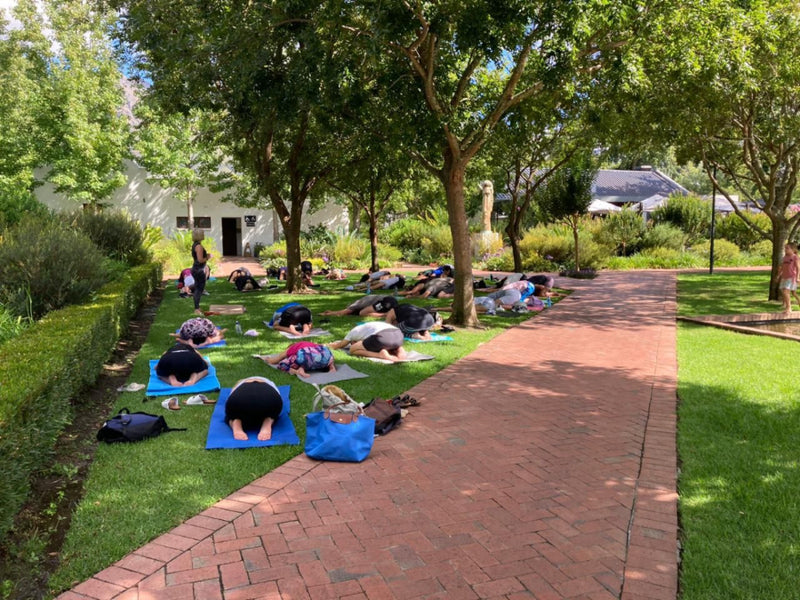 Free Outdoor Yoga Class