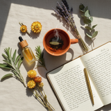 Personalised Wellness Lifestyle Plan - Life Retreat Wellness